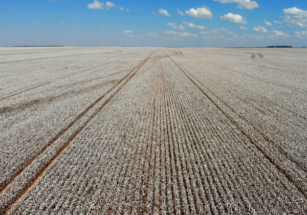 Bahia tem sete cidades entre as 50 maiores produtoras do Brasil