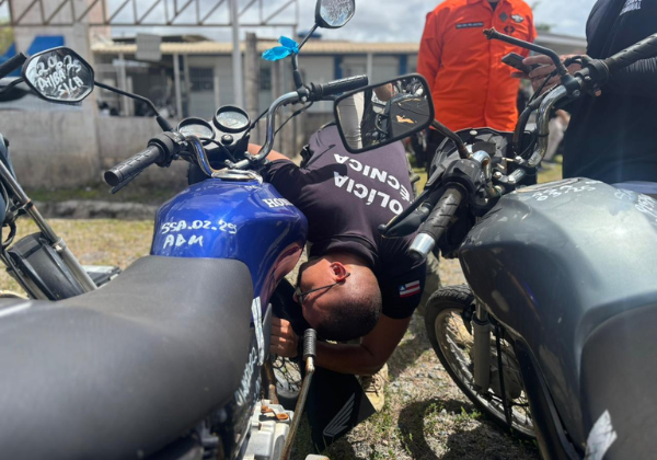 Operação na Bahia mira recuperação de veículos roubados e clonados