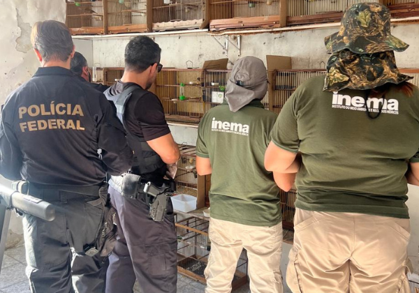 PF apreende 32 aves silvestres em operação contra tráfico de animais em Salvador