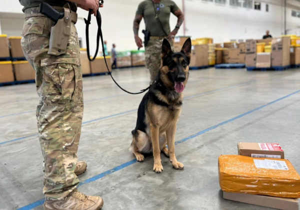 Drogas e arma enviadas pelos Correios são apreendidas em Centro de Distribuições na RMS