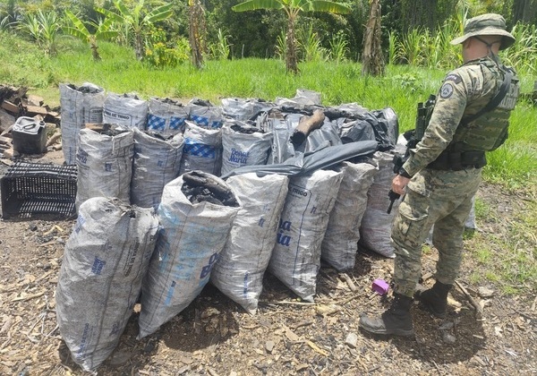 Mais de uma tonelada de carvão ilegal é apreendida pela PM em Pojuca