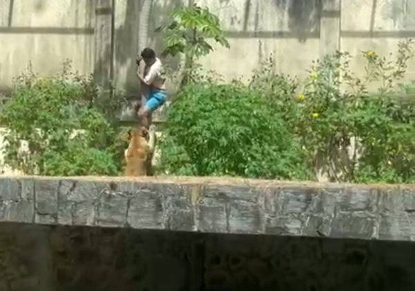 Vídeo: homem morre após entrar em jaula de leoa em parque de João Pessoa