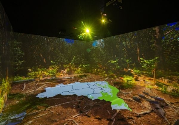 Capital conta com sala imersiva gratuita dedicada à Mata Atlântica