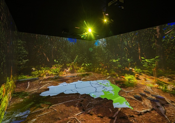 Com tecnologia de ponta, capital conta com sala imersiva gratuita dedicada à Mata Atlântica