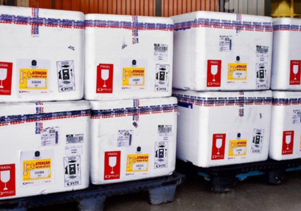 Bahia recebe mais de 44 mil doses da vacina contra o vírus sincicial respiratório