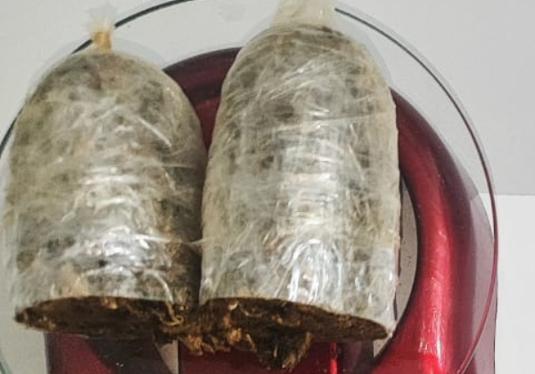 Mulher é detida após ser flagrada pelo Bodyscan com drogas nas partes íntimas em conjunto penal