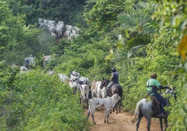 Operação em terra indígena no Pará resulta em mais um assassinato
