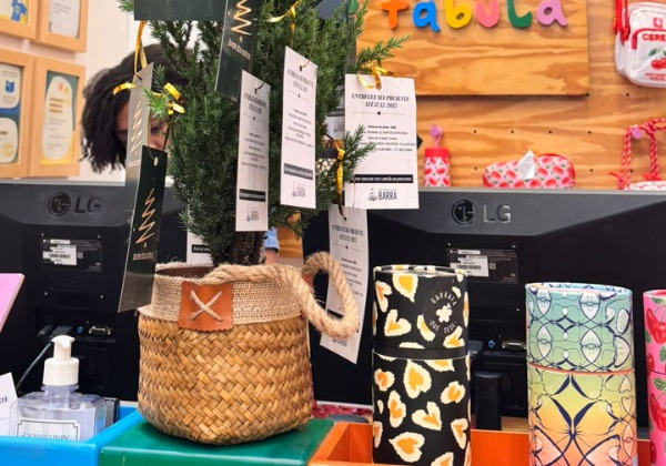 Shopping Barra recebe doações do Árvore dos Sonhos até sexta-feira (19)