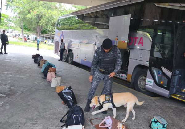 PM realiza Operação Natal no Terminal Rodoviário de Salvador para reforçar segurança