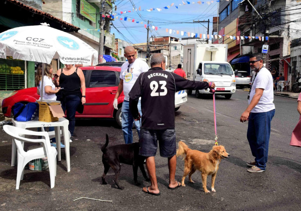 Salvador supera meta e alcança 102,5% de cobertura na vacinação antirrábica em 2025