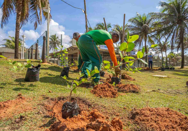 Salvador recebe nota máxima em ranking de gestão climática