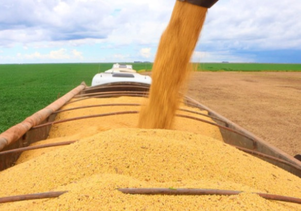 Bahia atinge recorde de 12,8 milhões de toneladas de grãos em 2025