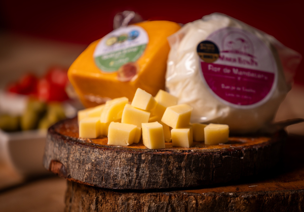 Dia mundial do Queijo celebra premiações na Bahia com crescimento na produção de leite