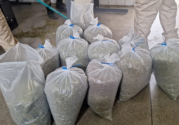 Operação contra organização criminosa prende advogado investigado por tráfico e homicídios