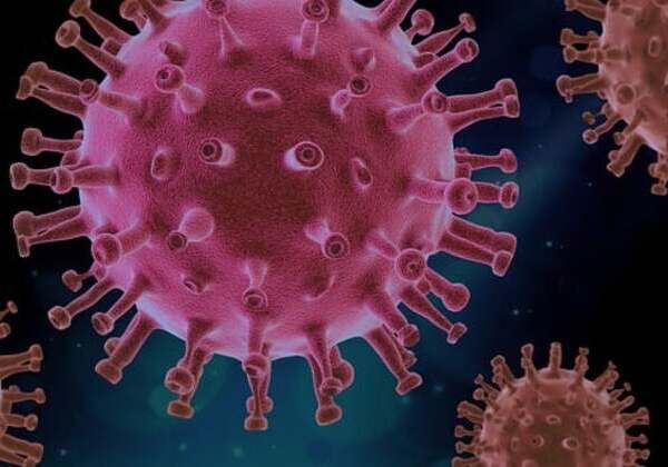 Covid-19 mata 29 pessoas em janeiro no Brasil