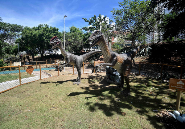 Alta estação mantém programação de lazer aquecida em Salvador