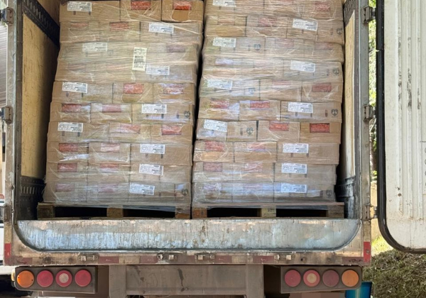 Caminhão com 25 toneladas de salsicha vencida é apreendido na BR-324