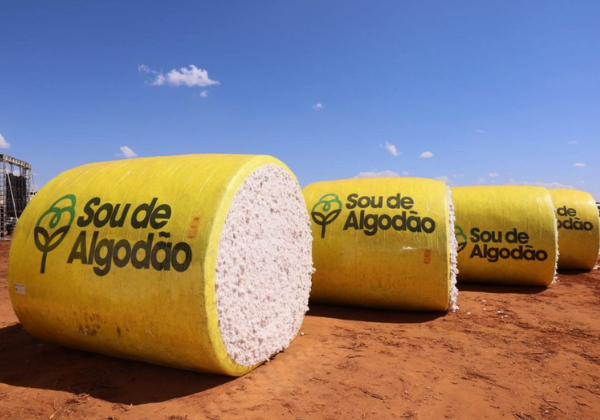 Agronegócio respondeu por 22,1% da economia baiana em 2025