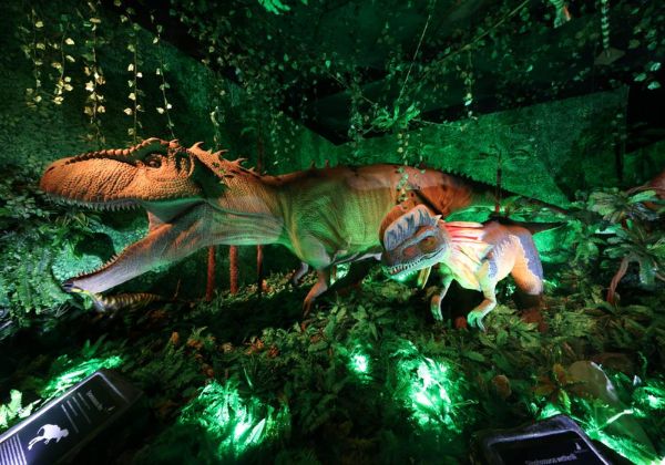 Exposição Imersiva ‘A Era dos Dinossauros’ estreia nesta sexta-feira (27) no Shopping Barra
