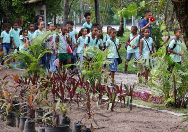 Ilha de Itaparica recebe iniciativa de promoção de ciência cidadã e educação ambiental prática