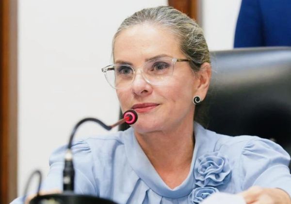 Presidente da Alba destaca debates promovidos pelas comissões temáticas em 2026