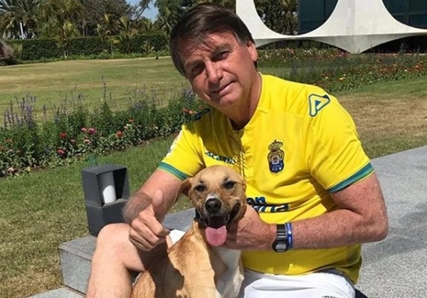 Cachorros de Bolsonaro mordem PMs que fazem a guarda da prisão domiciliar