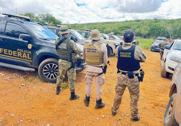 Polícia erradica 125 mil pés de maconha no norte da Bahia
