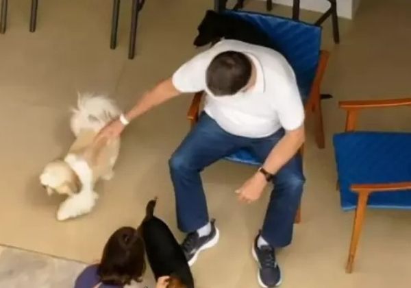 Bolsonaro completa um 1 mês em casa com filmes, cães e sob cuidados de Michelle