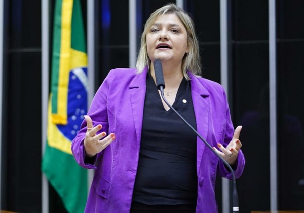 Deputada aciona OEA contra promulgação de lei da dosimetria