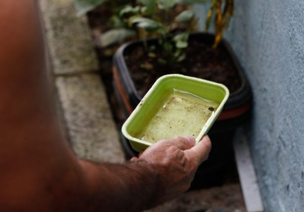 Bahia registra queda de 41% nos casos de dengue em comparação a 2025