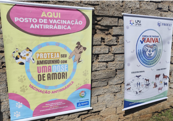 Salvador intensifica vacinação antirrábica para animais em Nova Brasília