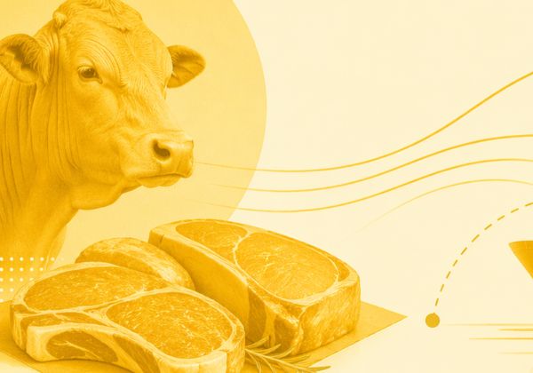 União Europeia mantém Brasil fora de lista para exportações pecuárias