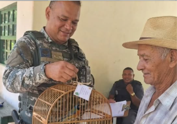 Campanha ambiental recolhe 50 animais silvestres em quatro dias em Salvador