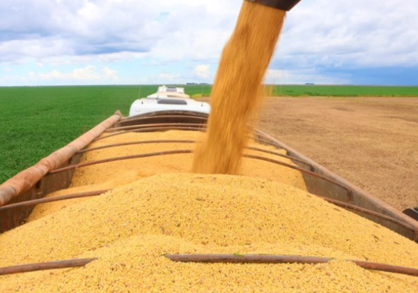 PIB do agronegócio baiano soma R$ 19,2 bilhões no 1º trimestre, mas recua em valores correntes
