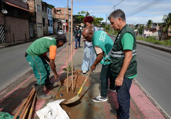 Prefeitura oferece programa Plante no Passeio para ampliar arborização de Salvador