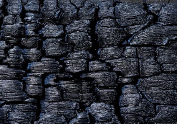 BNDES aprova R$ 43,8 milhões para nova fábrica de carvão vegetal da Ferbasa na Bahia