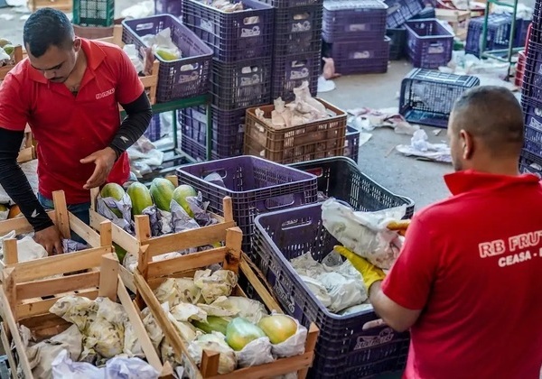 Governo anuncia crédito de R$ 97,3 bi para agricultores familiares