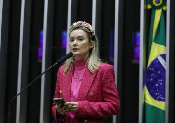 Deputada do PL apresenta projeto para barrar supersalários em comitê da reforma tributária