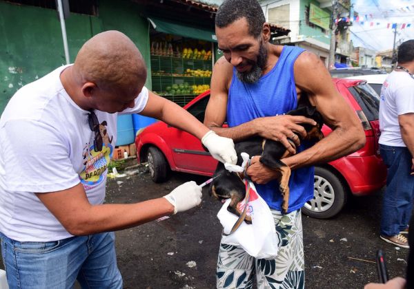 Salvador intensifica vacinação antirrábica para cães e gatos a partir de segunda-feira (20)