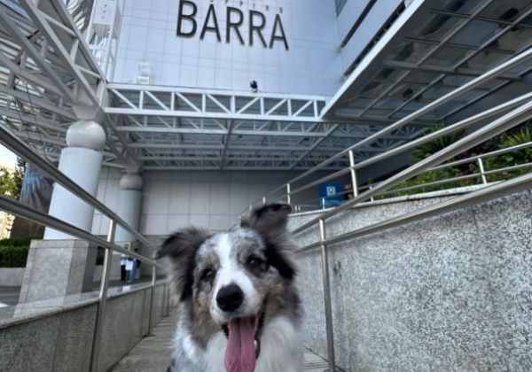 Shopping Barra recebe posto da campanha de Vacinação Antirrábica 2026