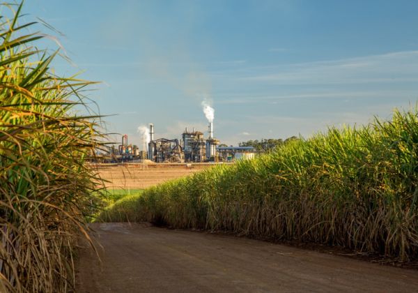 EUA cortam cota de açúcar do Brasil e mantêm volume condicionado a acordo