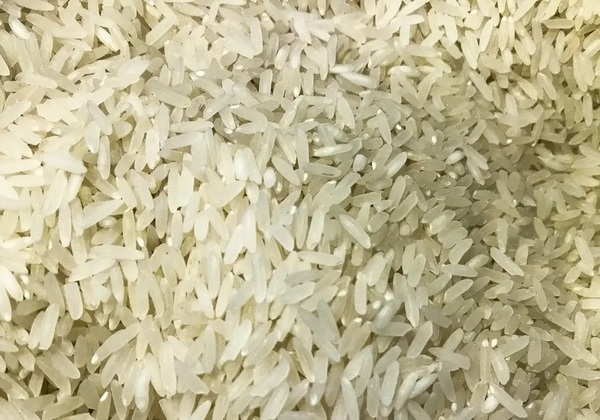 Brasil doará 10 toneladas de arroz à Colômbia após terremoto
