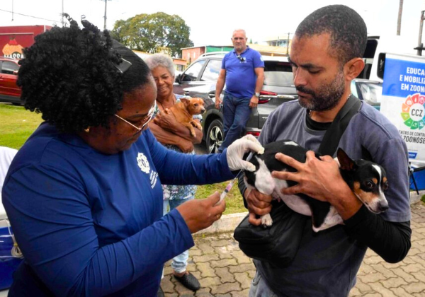 Vacinação antirrábica: Salvador terá postos volantes e itinerantes neste penúltimo fim de semana da campanha
