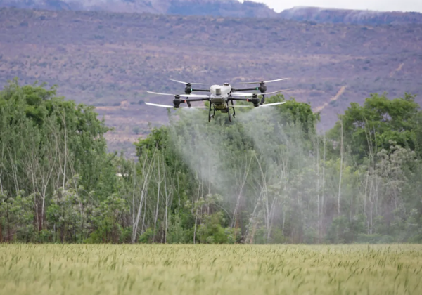 Seguro exclusivo para drones agrícolas movimenta R$ 1,5 milhão no Brasil