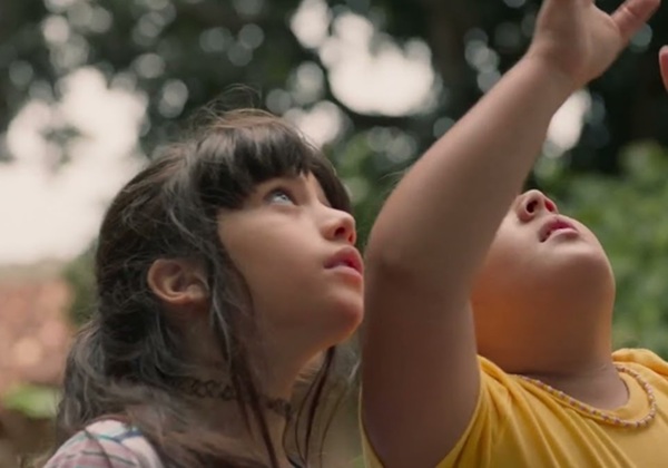 Cinema: 10 dos 15 filmes brasileiros habilitados para concorrer ao Oscar 2027 têm baixa bilheteria