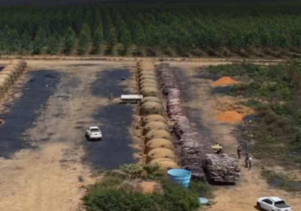 Operação do Ministério Público aponta 200 hectares de desmatamento na Bahia