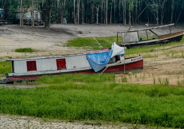 Brasil promete restaurar 163 mil km² de terras até 2030, mas entidades cobram verba e ação