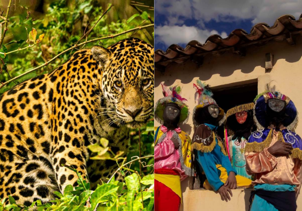 ‘Pantanal Revelado’: Shopping Paseo recebe exposição fotográfica sobre a alma de um território brasileiro exuberante