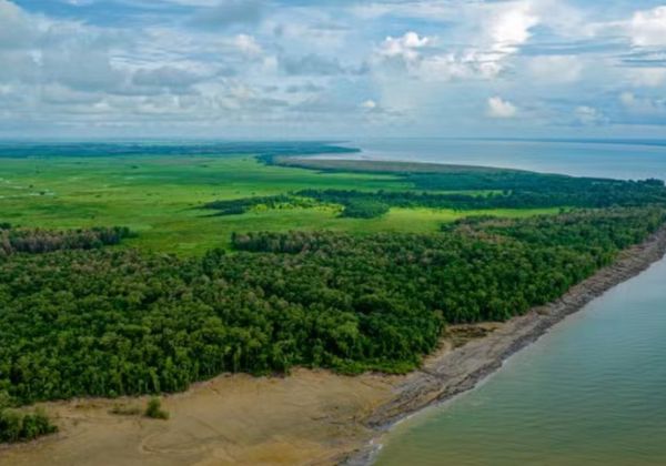 Ibama autoriza Petrobras a perfurar mais três poços na Bacia da Foz do Amazonas