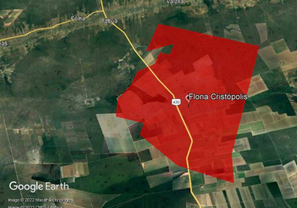 Nova lei extingue Floresta Nacional após erro e de 25 anos